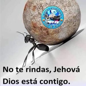 Meet your Posher, Juan